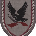 Division_Luftbewegliche_Operationen